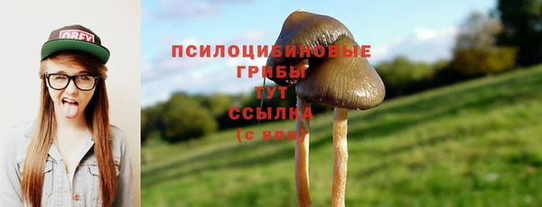 ПСИЛОЦИБИНОВЫЕ ГРИБЫ Осташков