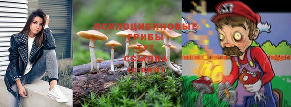 мескалин Инсар