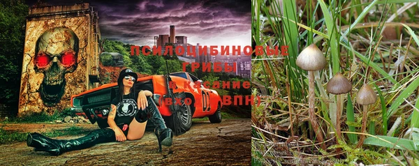COCAINE Иннополис