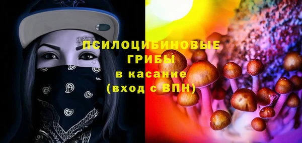 мескалин Инсар