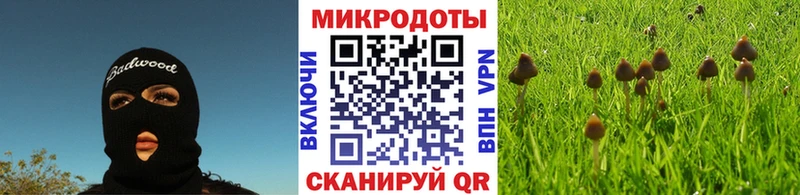 Псилоцибиновые грибы Psilocybine cubensis  Купить  Волгореченск 