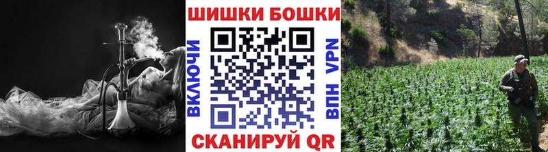 Купить  Волгореченск  МАРИХУАНА сатива 